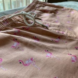 Flamingo shorts